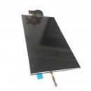 Nintendo Switch Lite Display LCD Bildschirm Screen Glas NS-LCD 720p